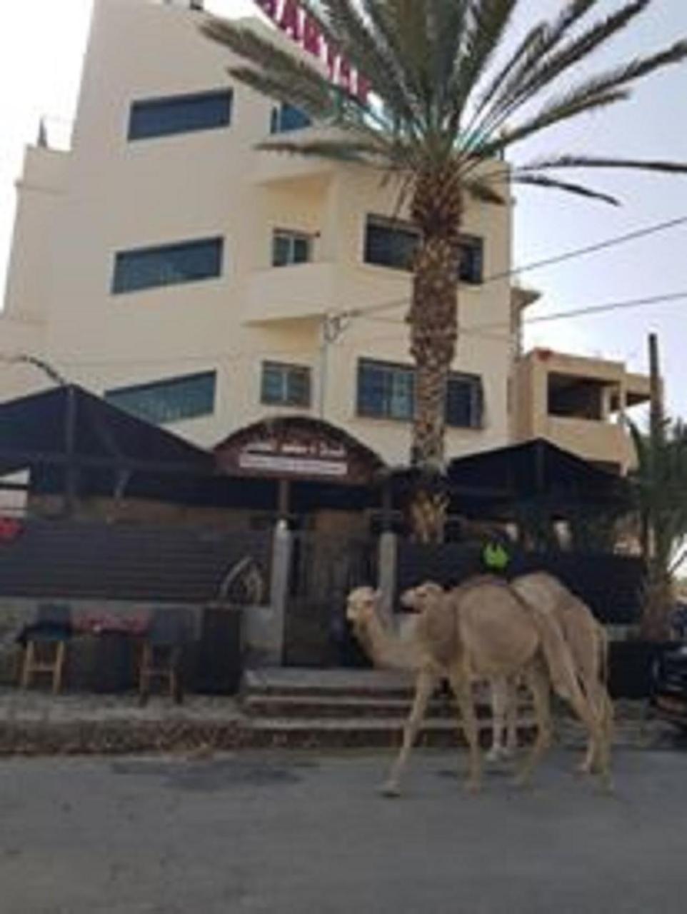 Magtas Hotel Ierihon Exterior foto